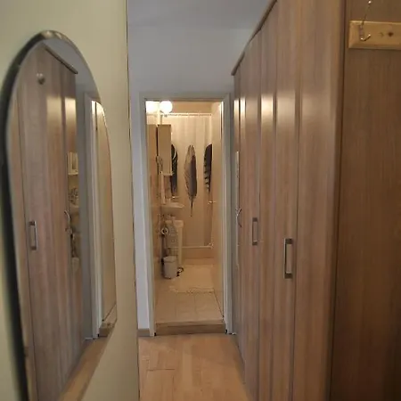 Charming Near Downtown 公寓